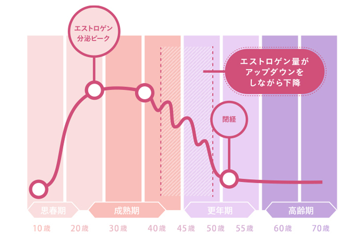 エストロゲン