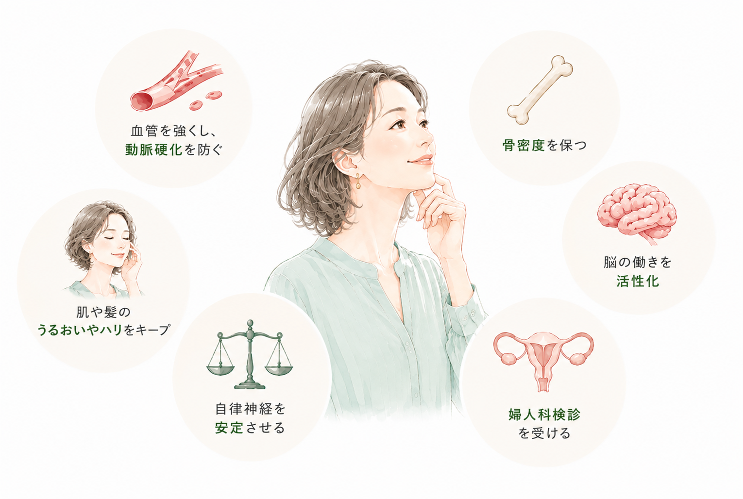 女性ホルモン