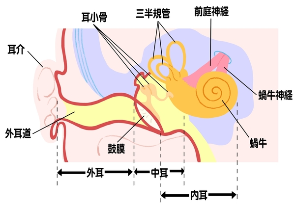 耳鳴り_2.jpg