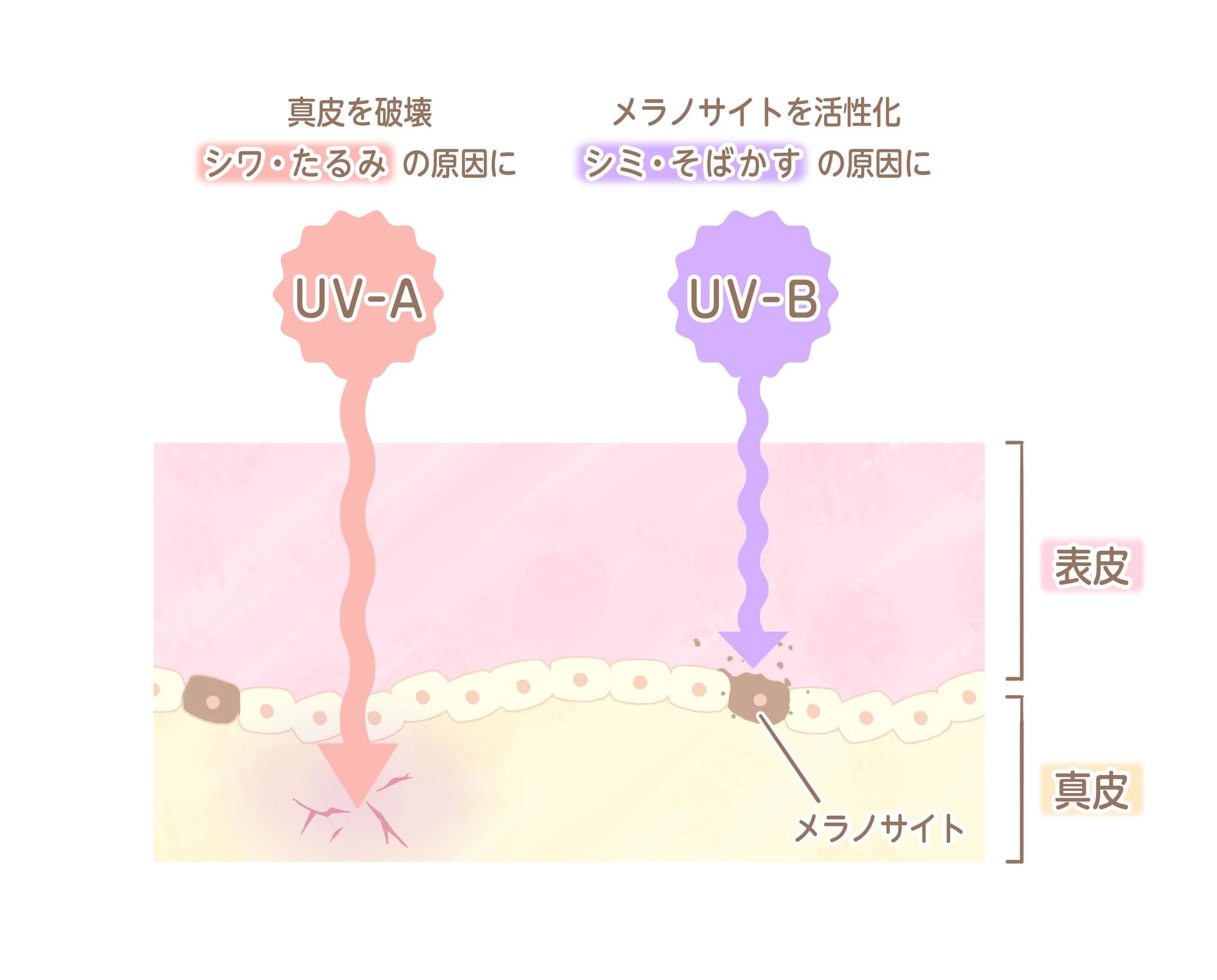 紫外線対策_2.jpg