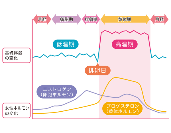 体温 排卵 高い 日