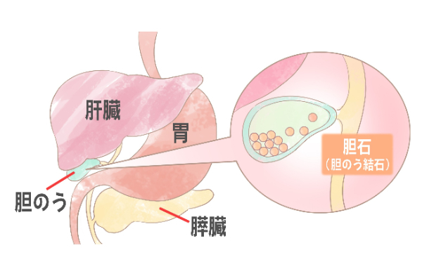 画像_1.jpg