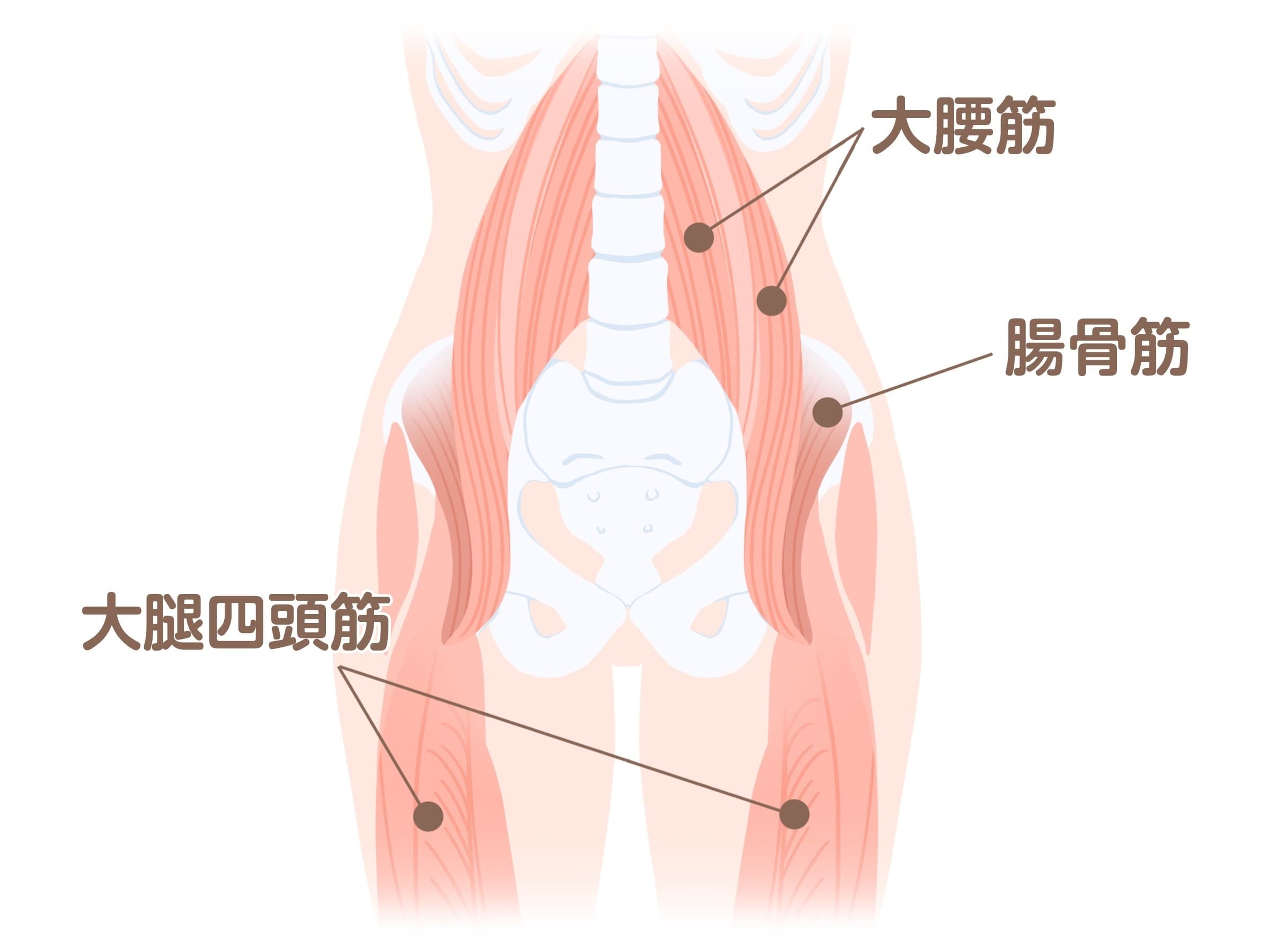 choukotsukin_修正 (1)-min.jpg