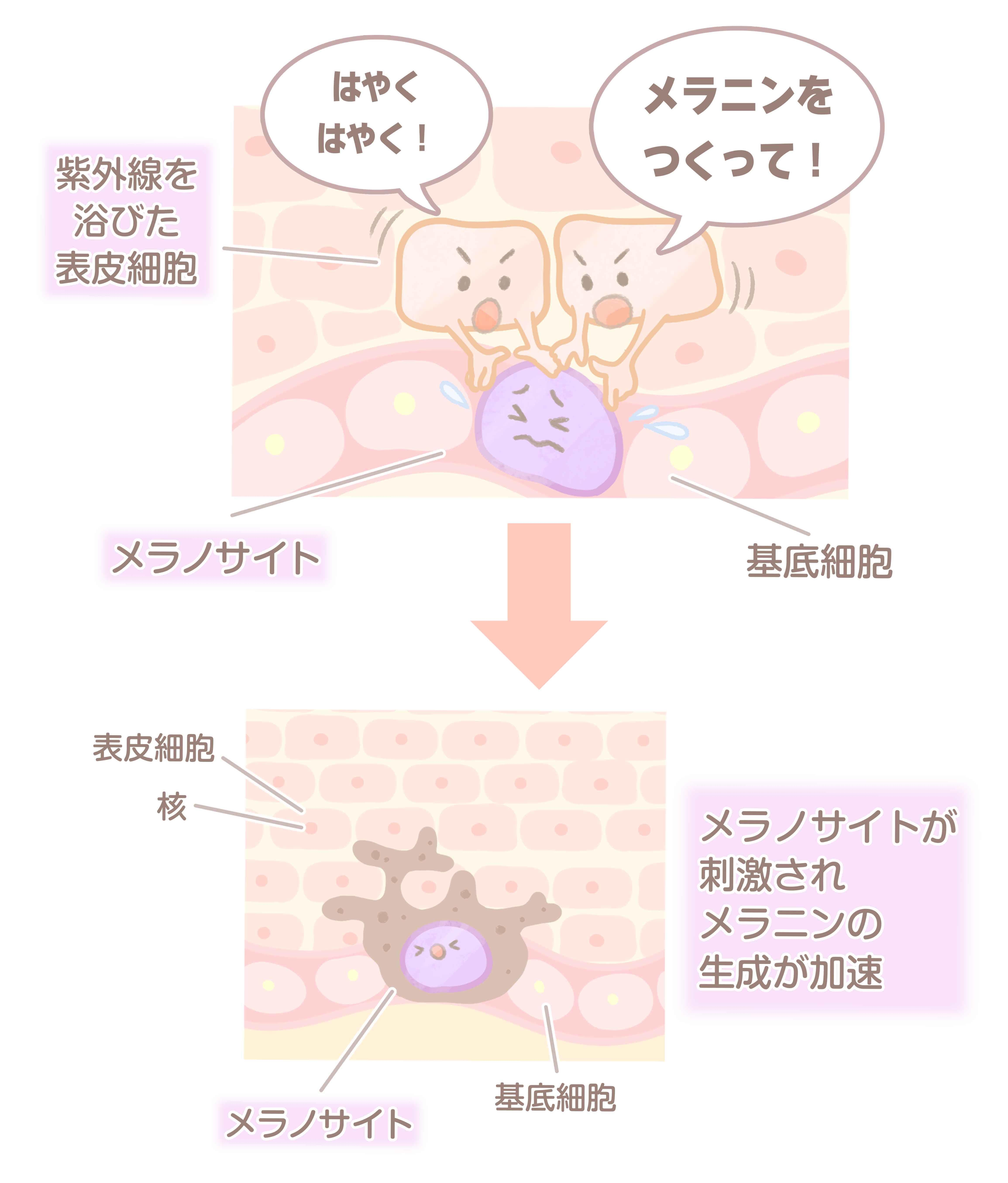 老人性色素斑_3-min.jpg