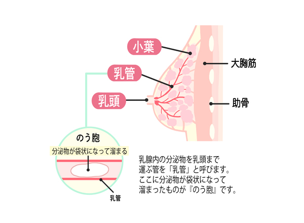 画像_1.jpg