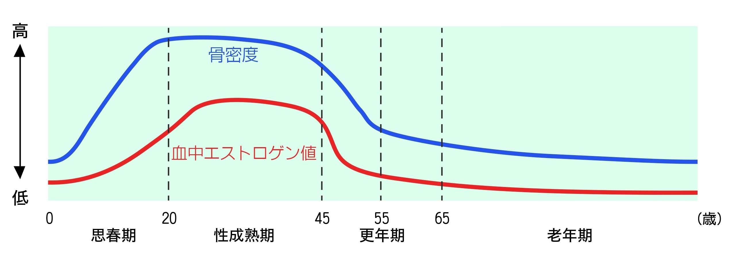 ISIGAKISENNSEI_graph.jpg