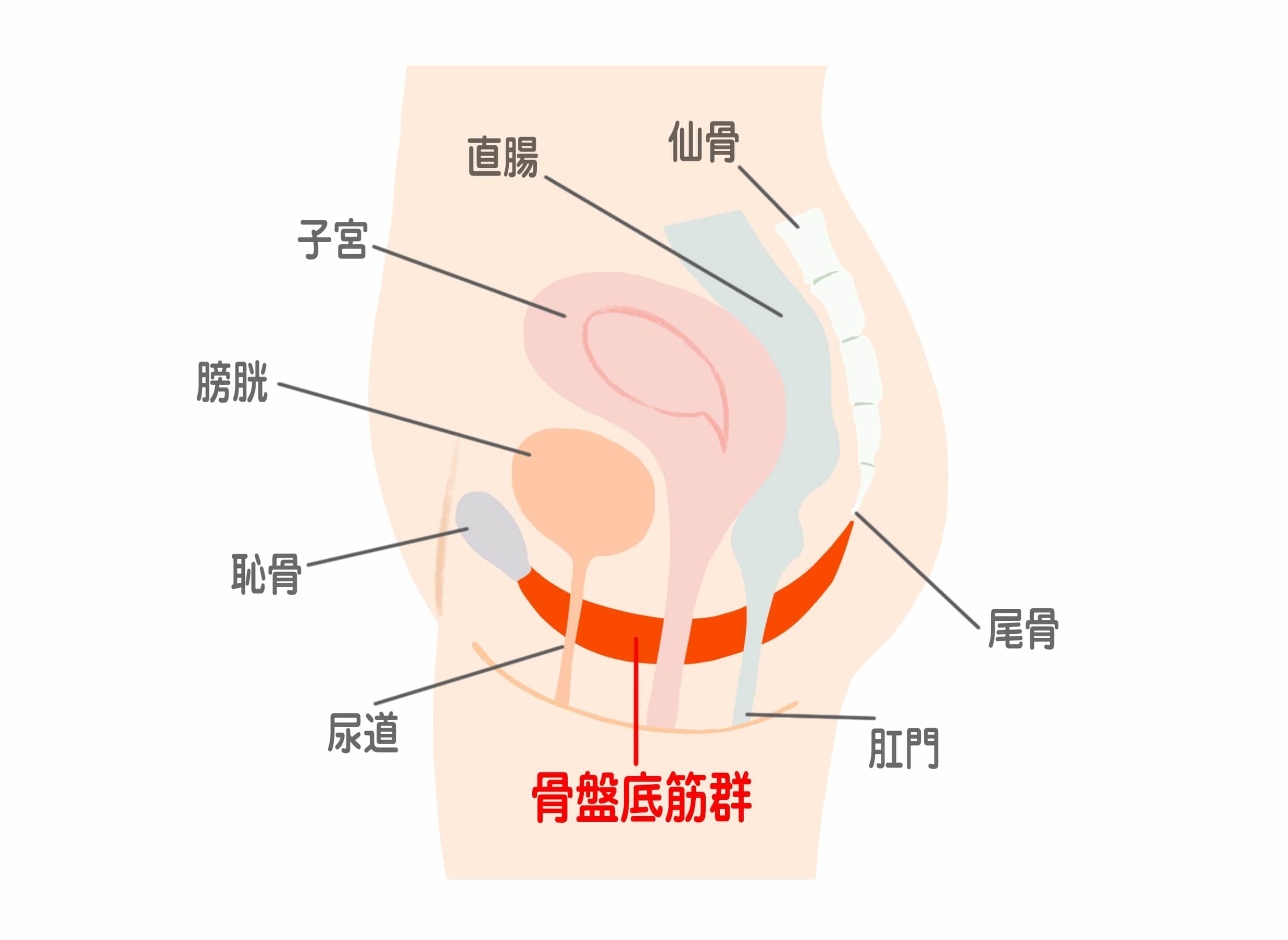 記事画像