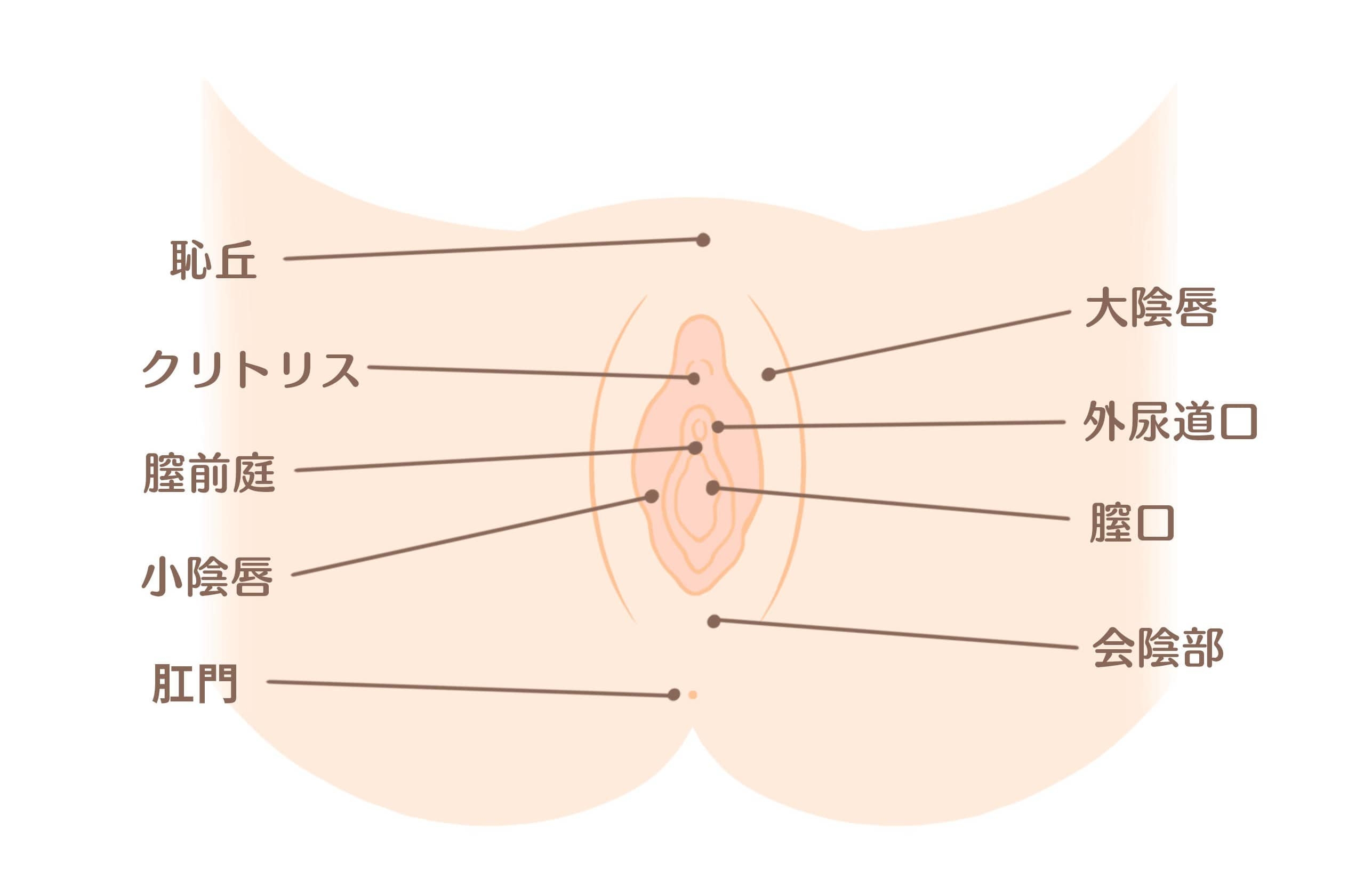 記事画像