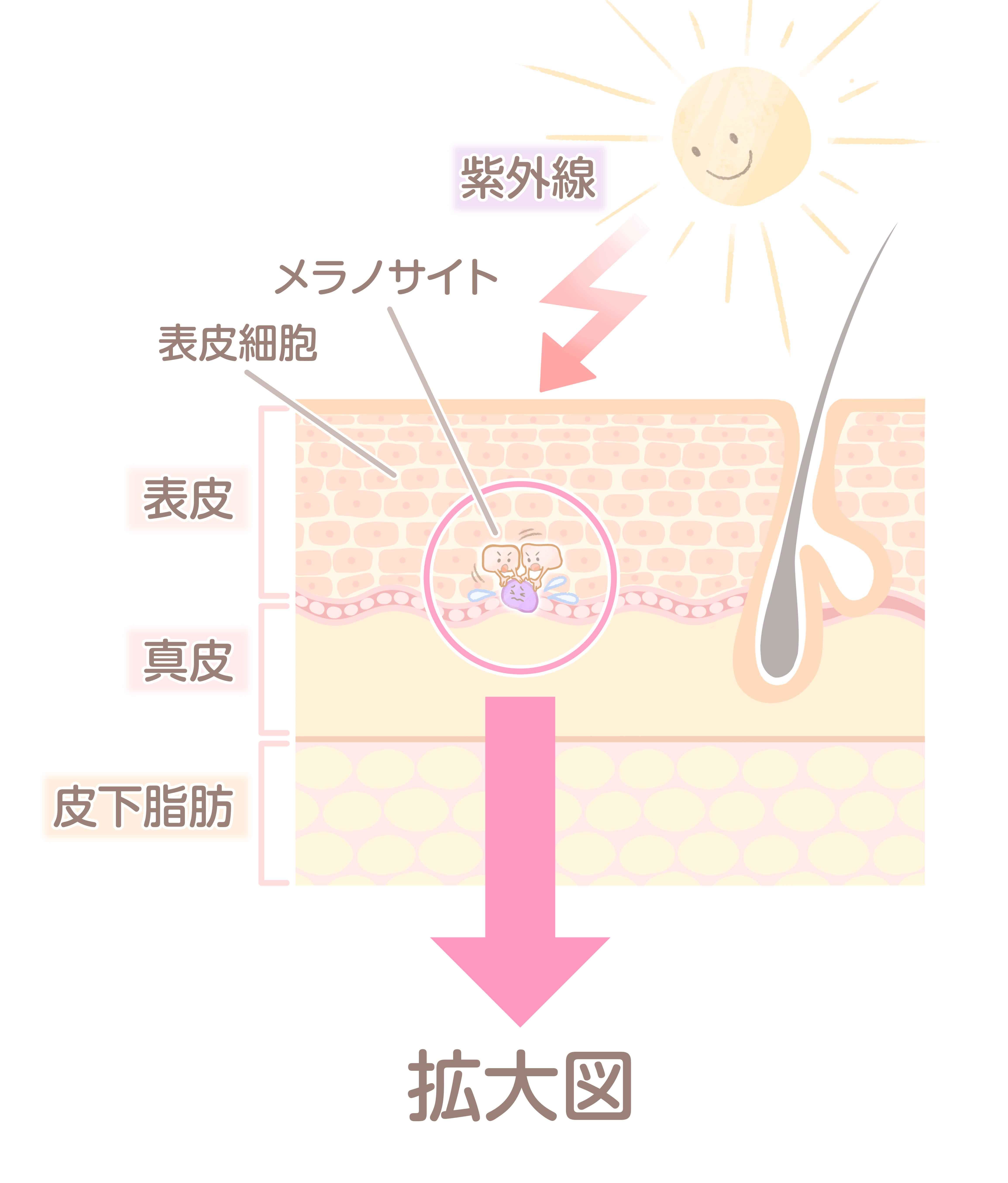 記事画像