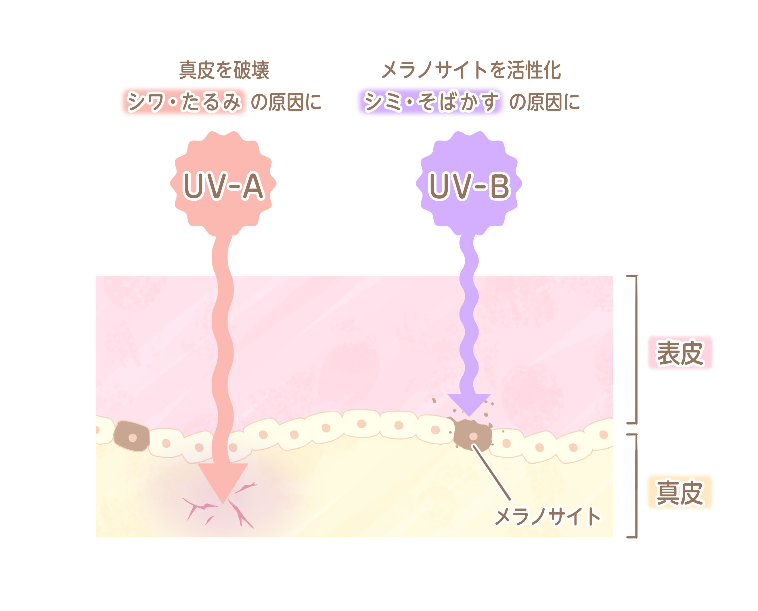 紫外線対策_2_2.jpg