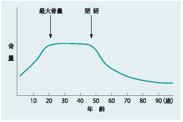 骨量の経年変化.jpg