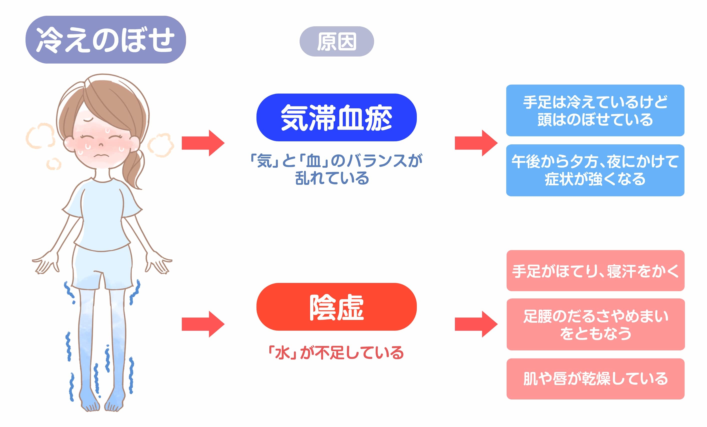 気血を補う漢方薬の例