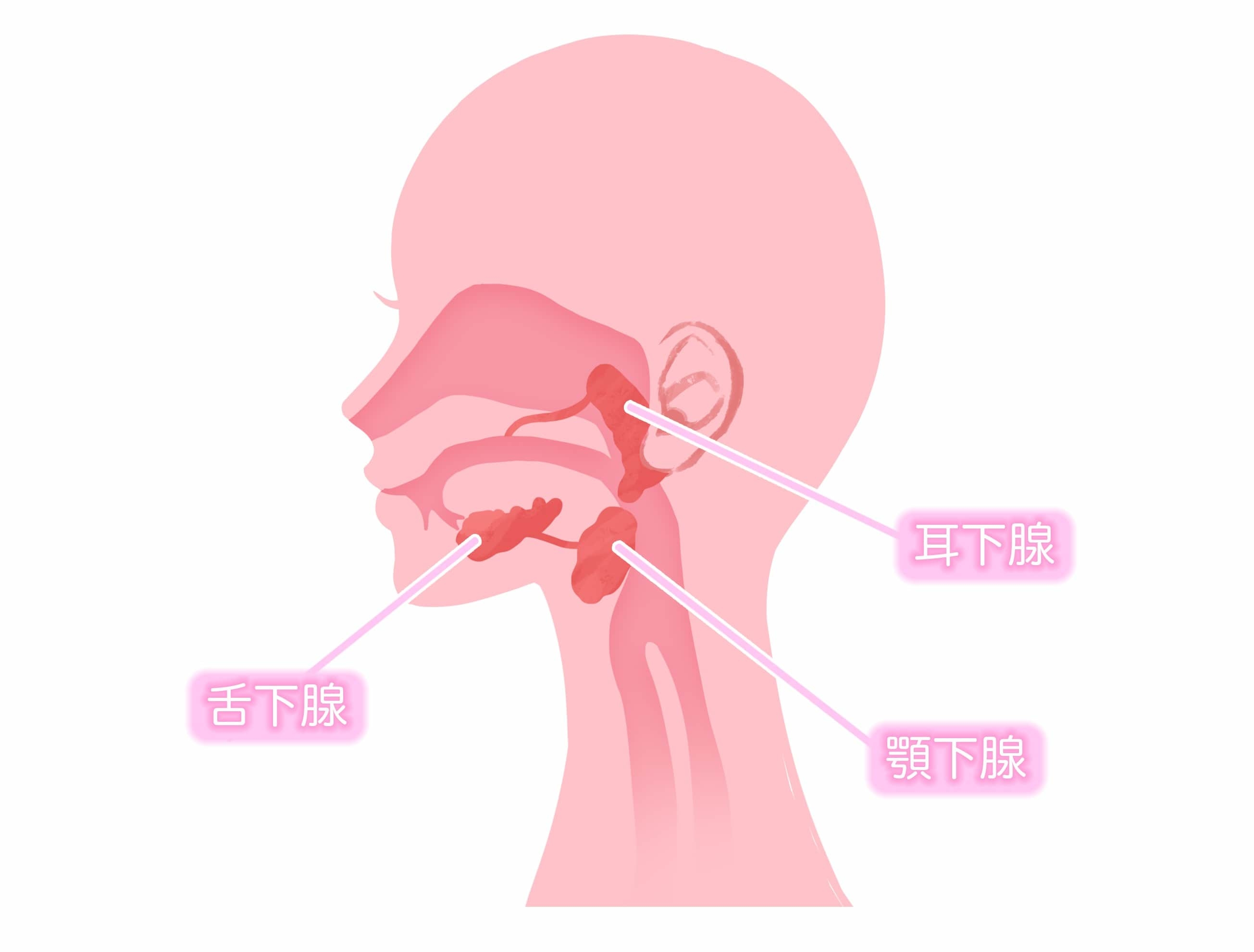 記事画像