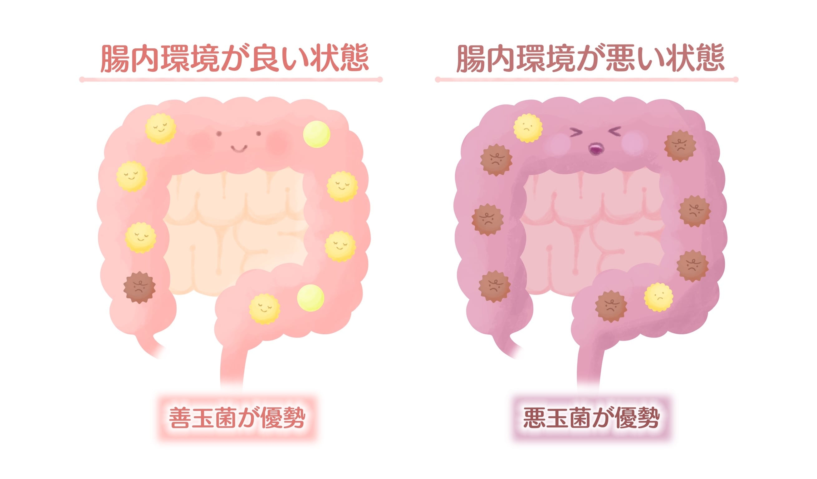 体 が 女性 化 する 病気