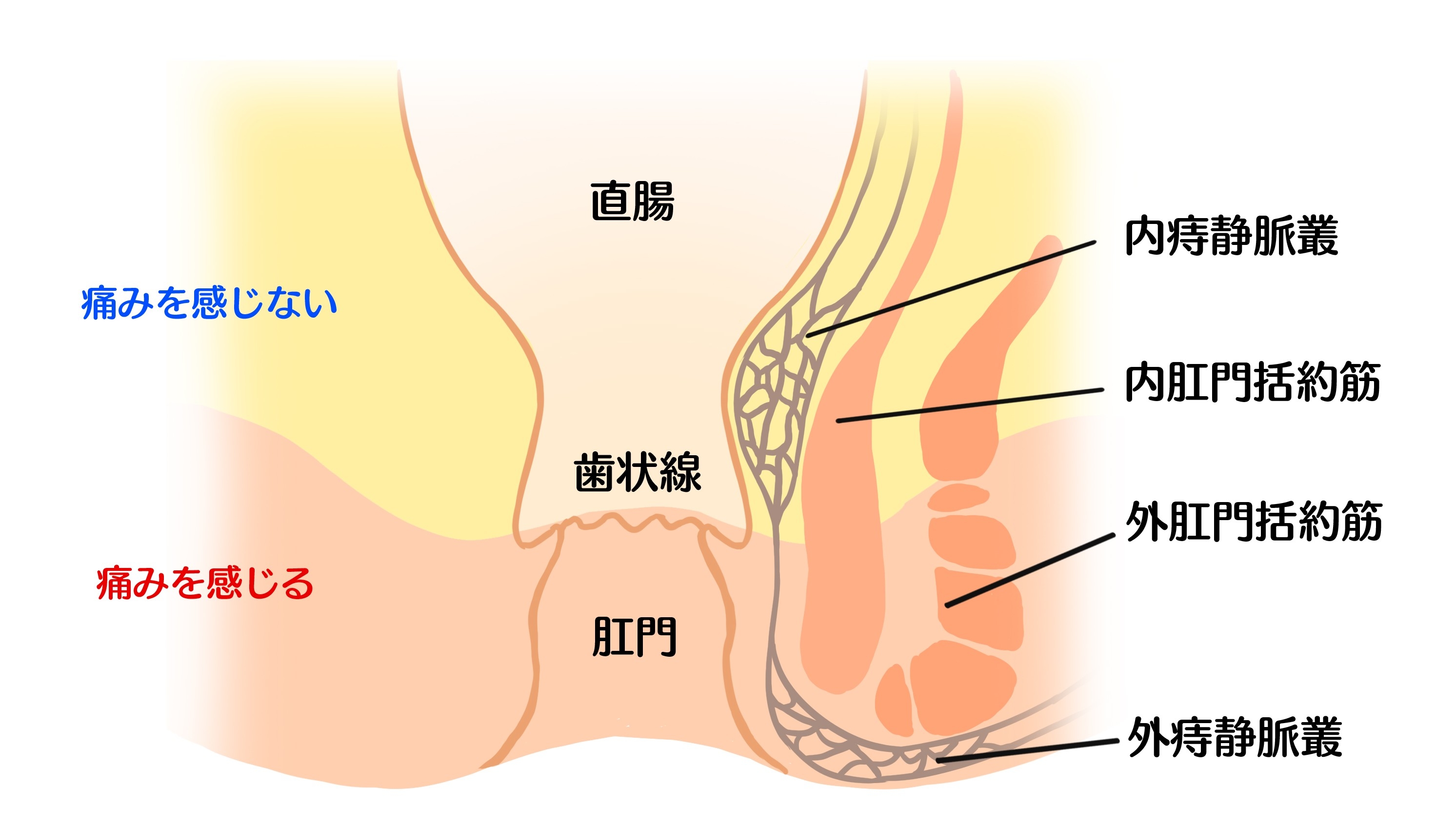 jinosyurui01.jpg