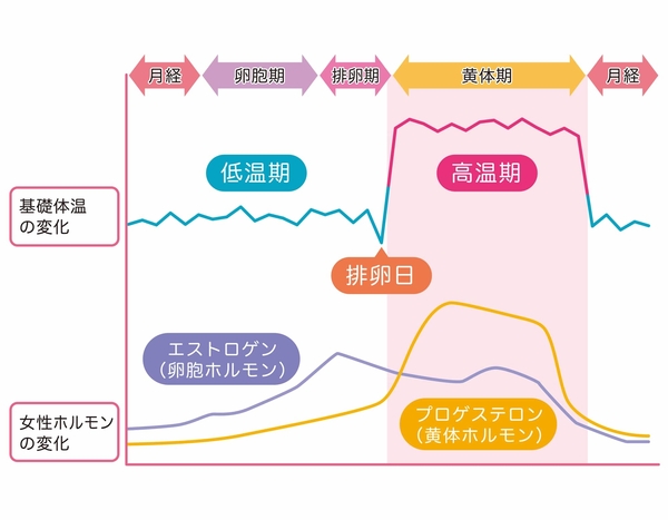 更年期 久々 の 生理