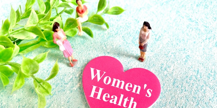 植物エストロゲンを含む食品