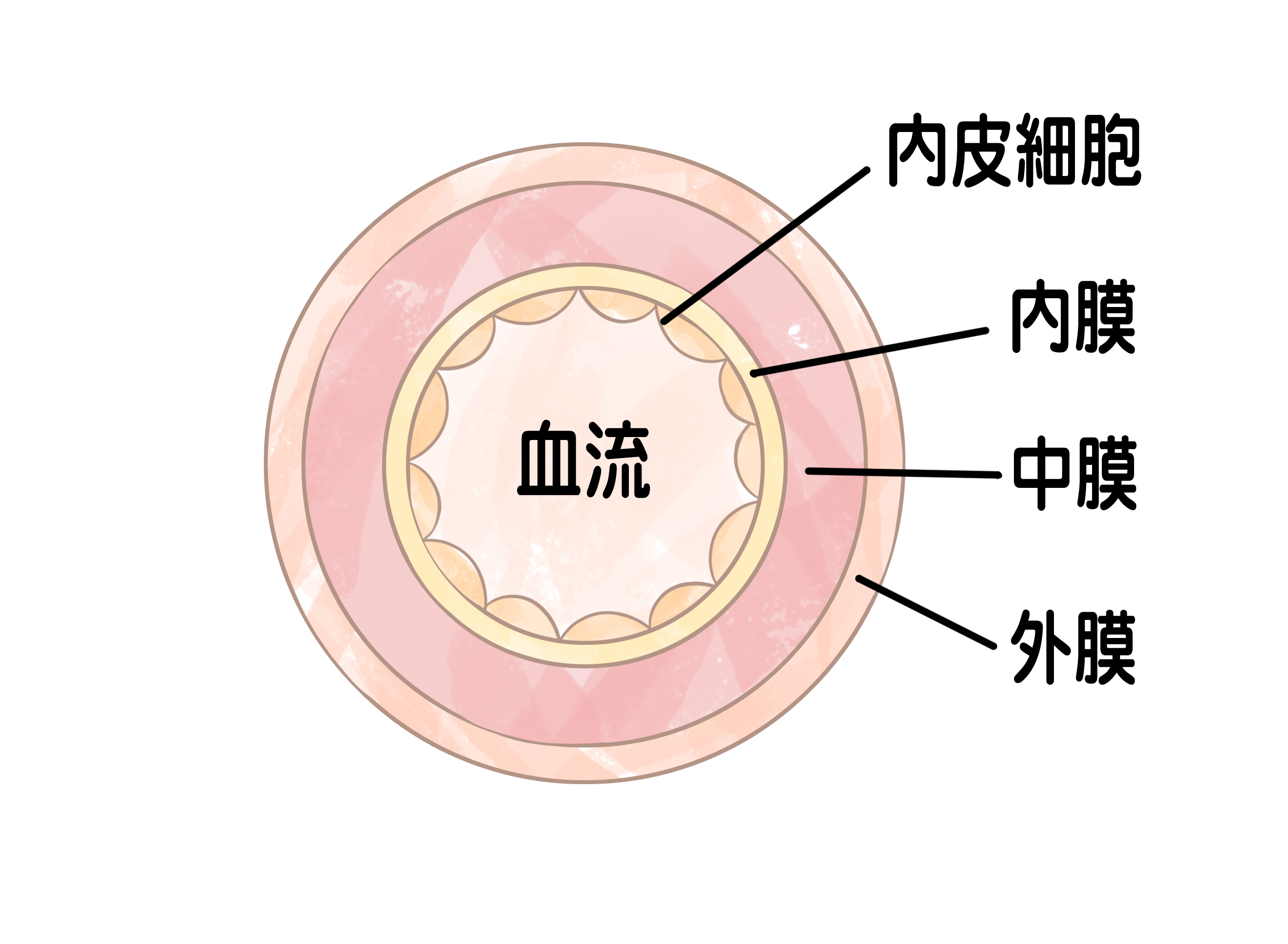 watanabesensei_01.jpg